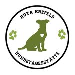 Kompetente Tagesbetreuung für Hunde in Krefeld